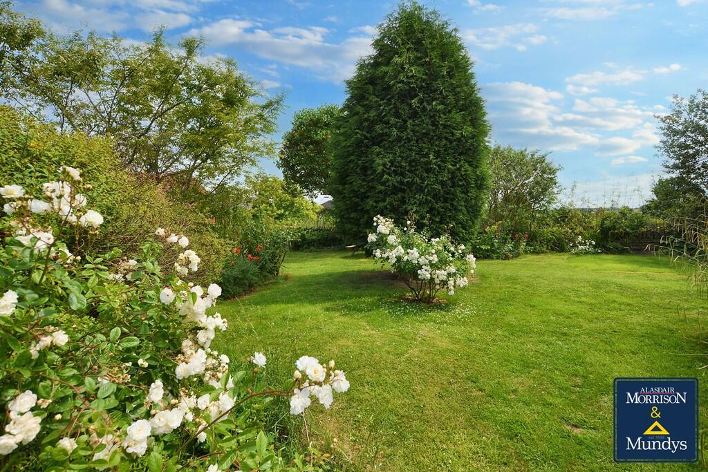 Garden.