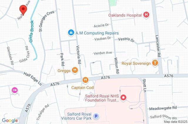 Google Maps Image