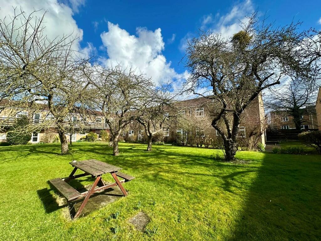Communal Garden