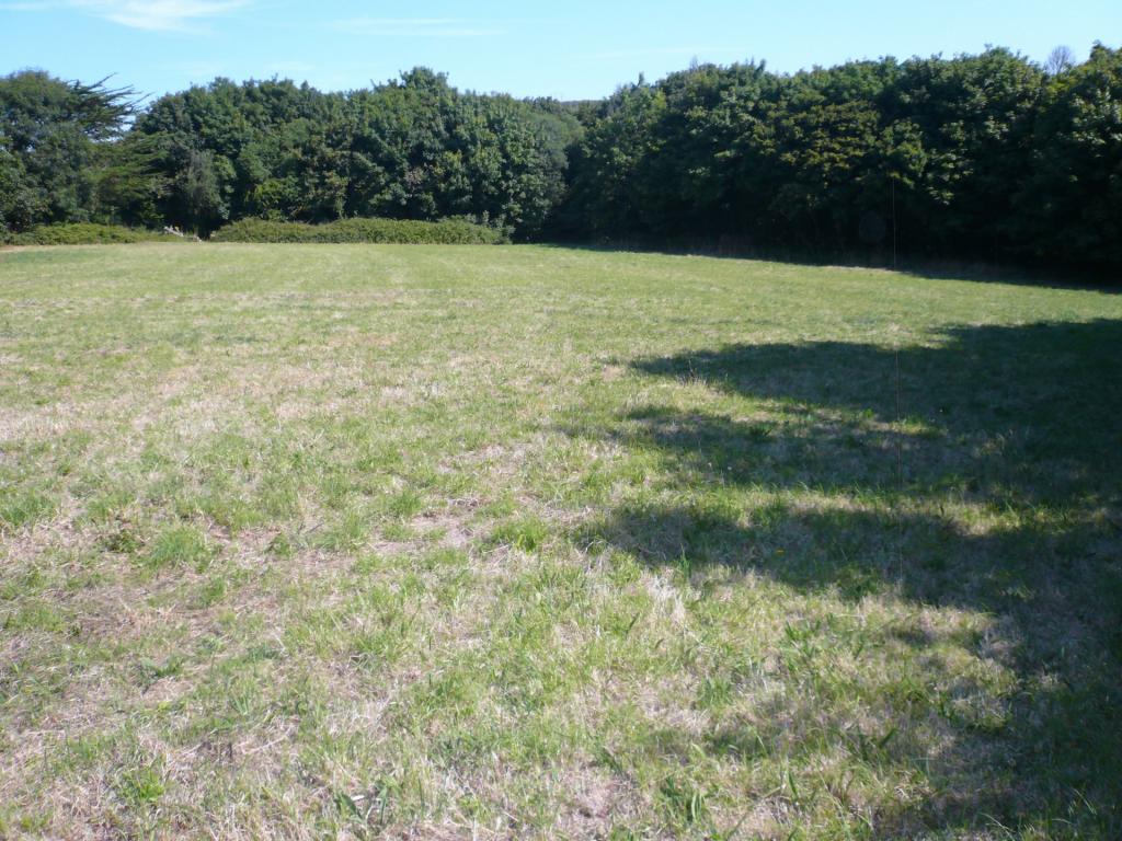 Pastureland