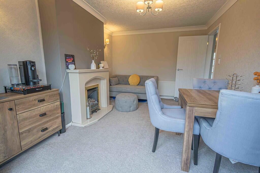 20250127-DSC02339...