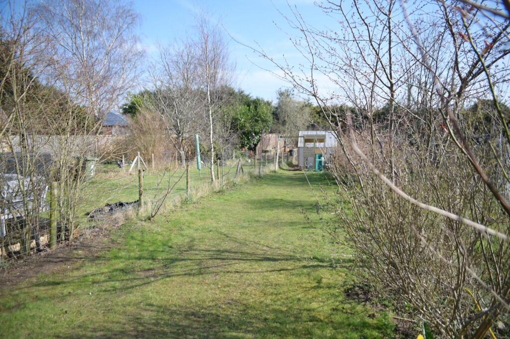 garden