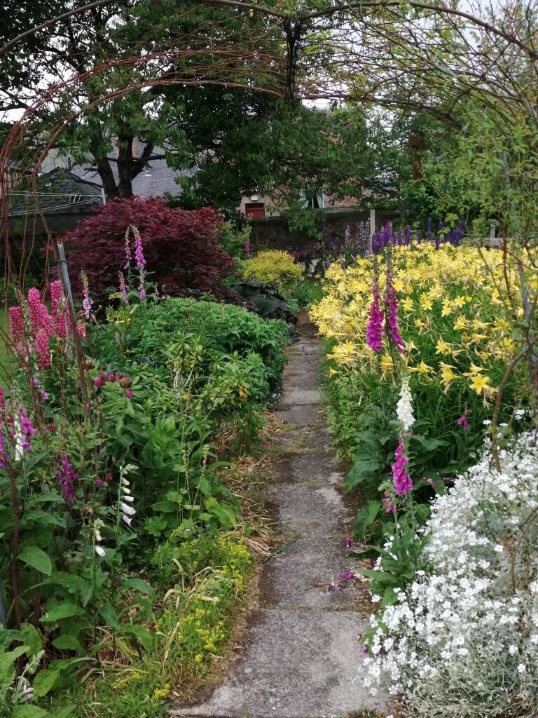 Garden Flowers