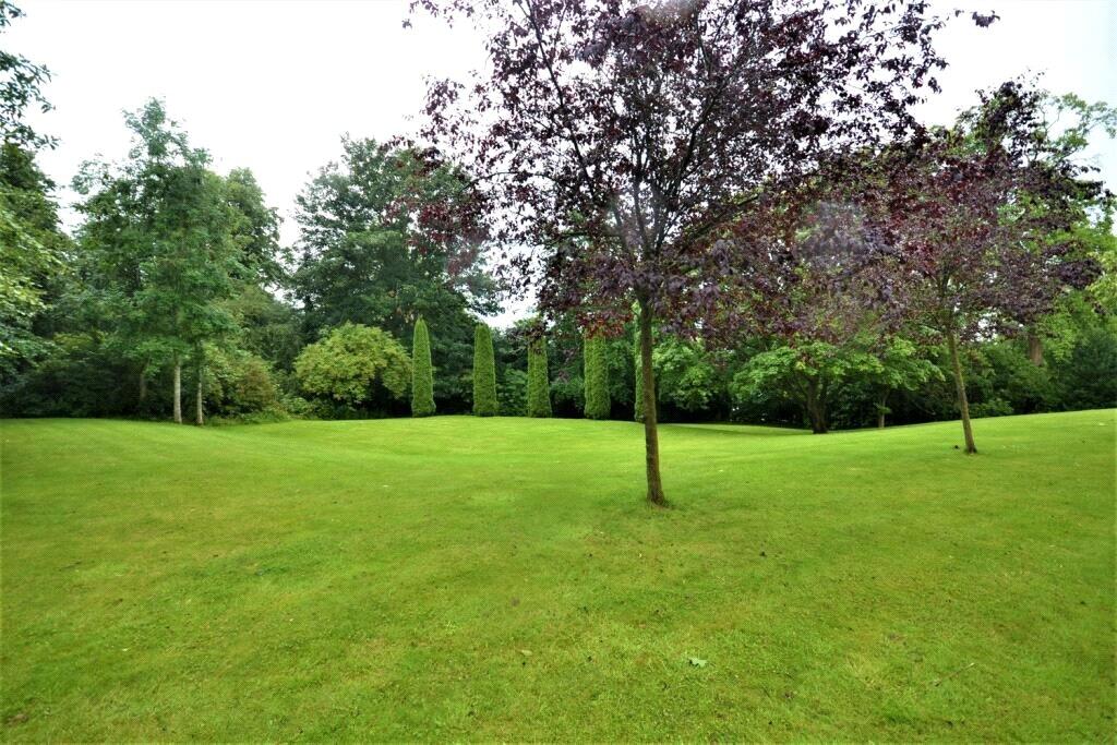 Grounds