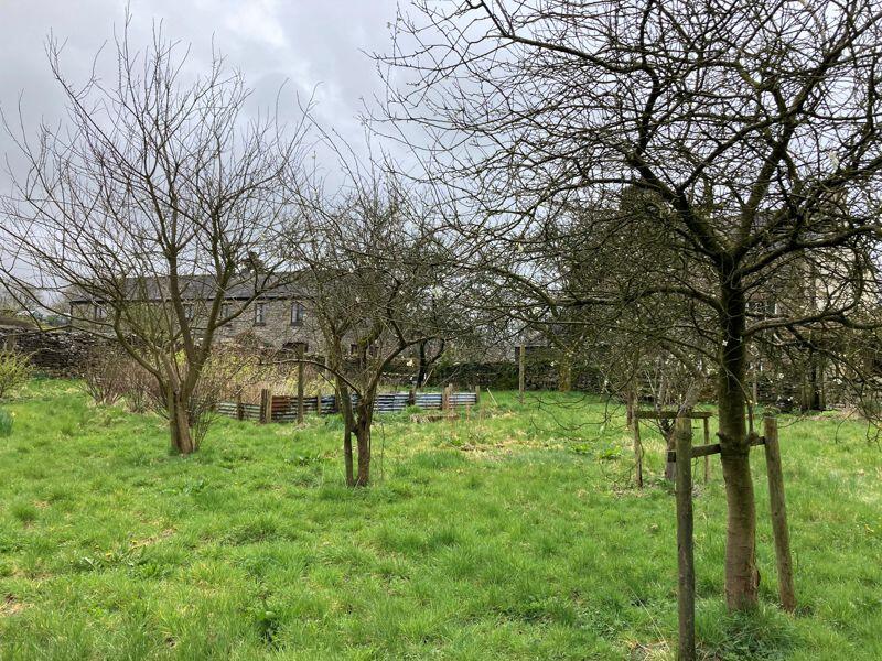 Orchard