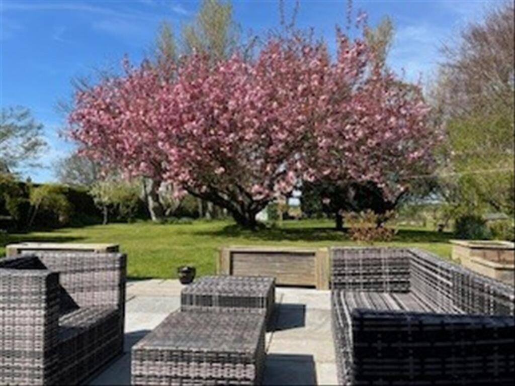 Pilling Lane Blossom