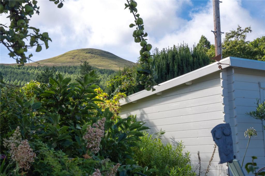 View Of East Lomond