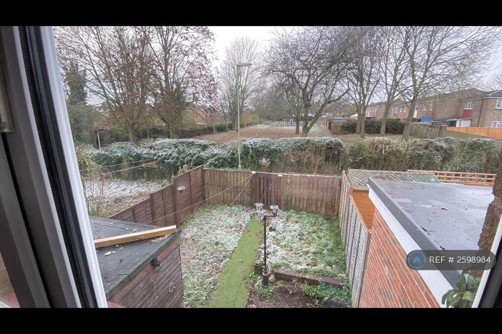 View From Rear Rooms