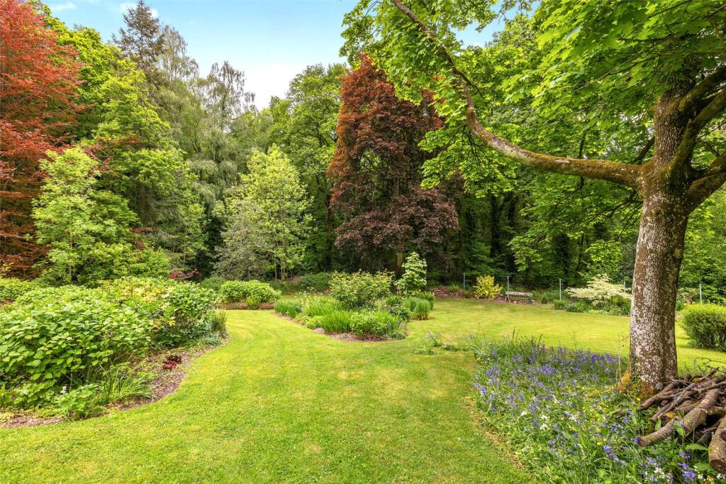 Woodland