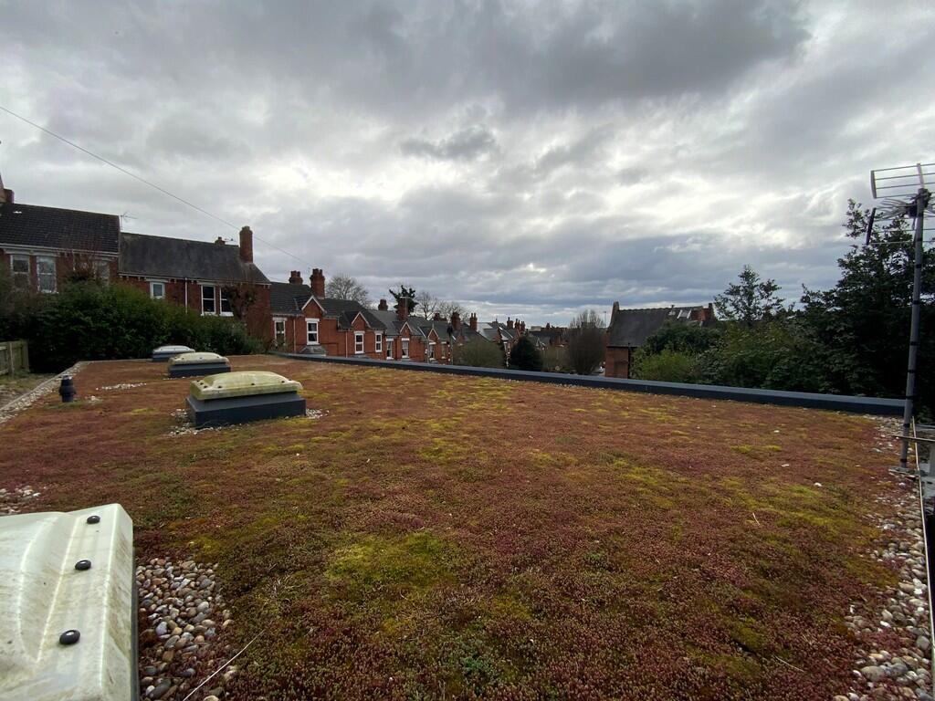 Sedum Roof