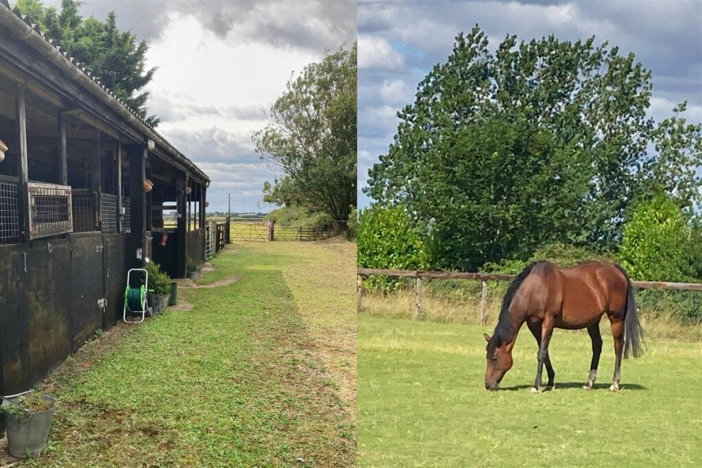 Stables