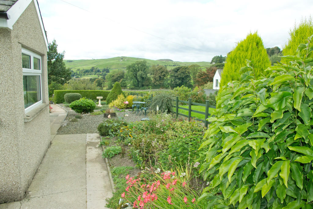 Side Garden