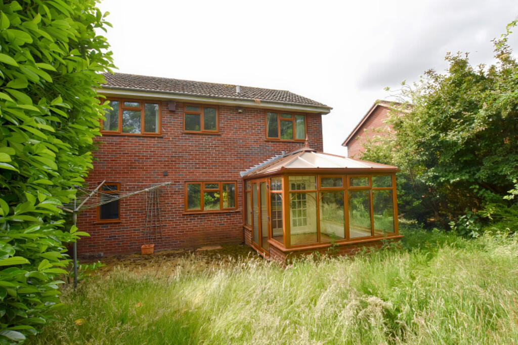 Rear Aspect 