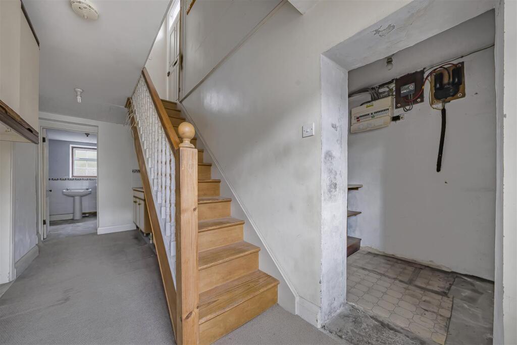 Photo Feb 24 2025, 3 38 52 PM.jpg