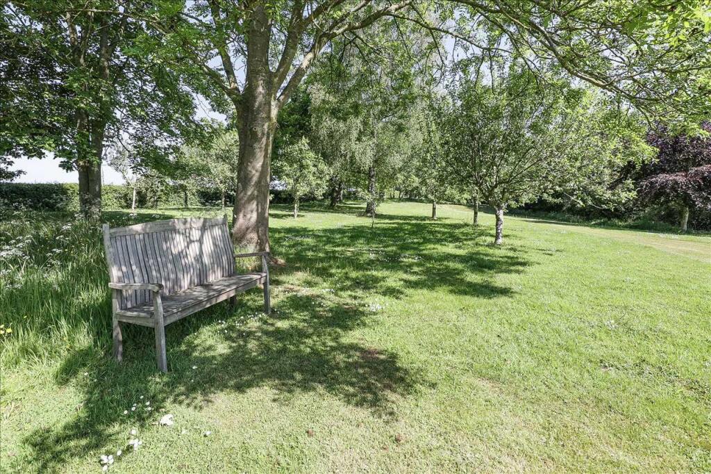 SIDE AND REAR PLOT