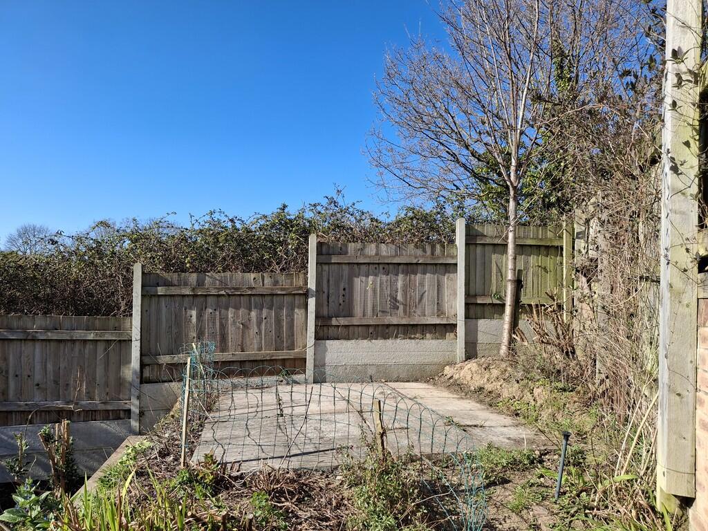GARDEN SHOT 2