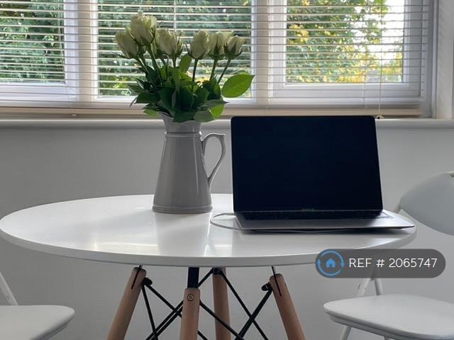 Working From Home/Free Internet