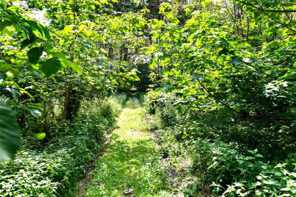 Communal Woodland