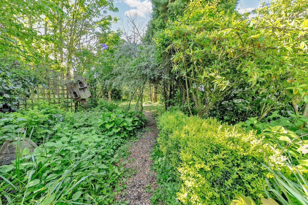 Path