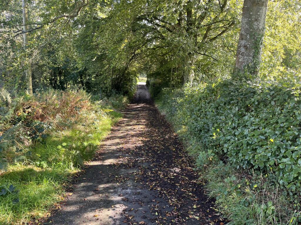 Approach