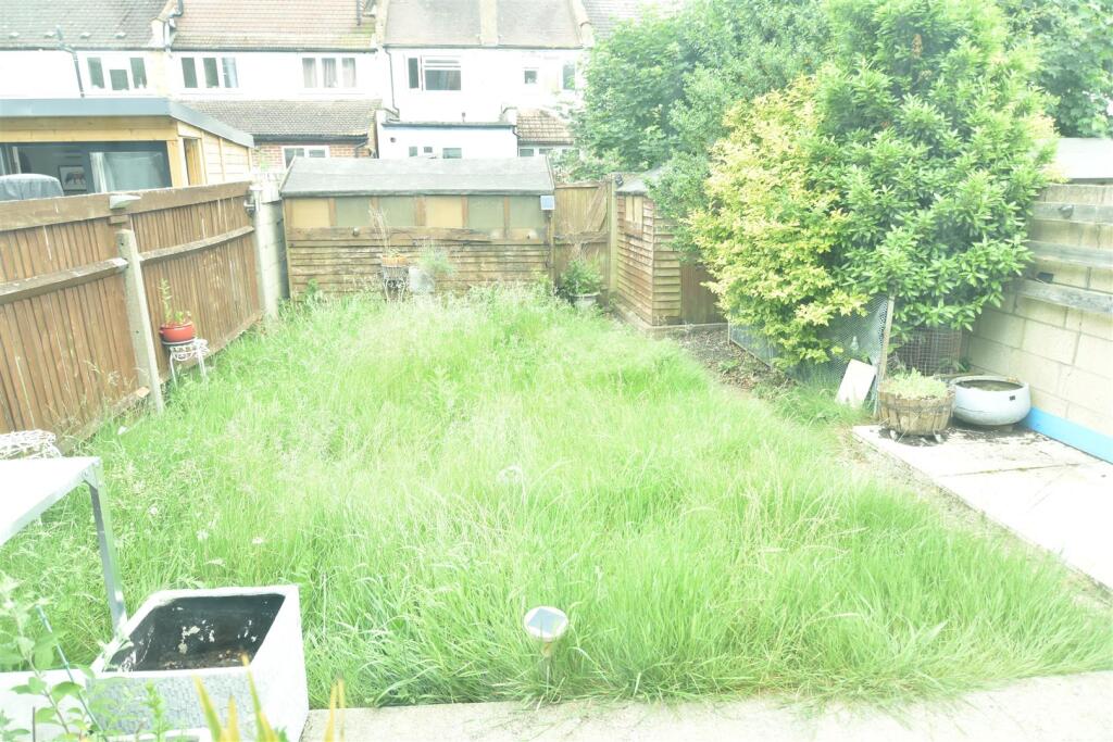 Back Garden