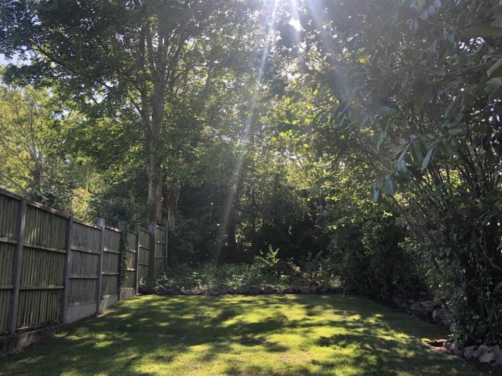 133 Newtown  Road Garden.jpg