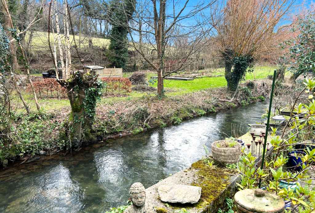 Rear Garden View of Stream