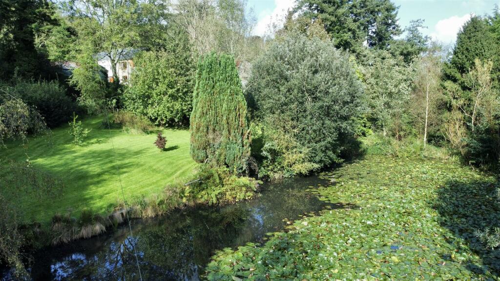 Pond