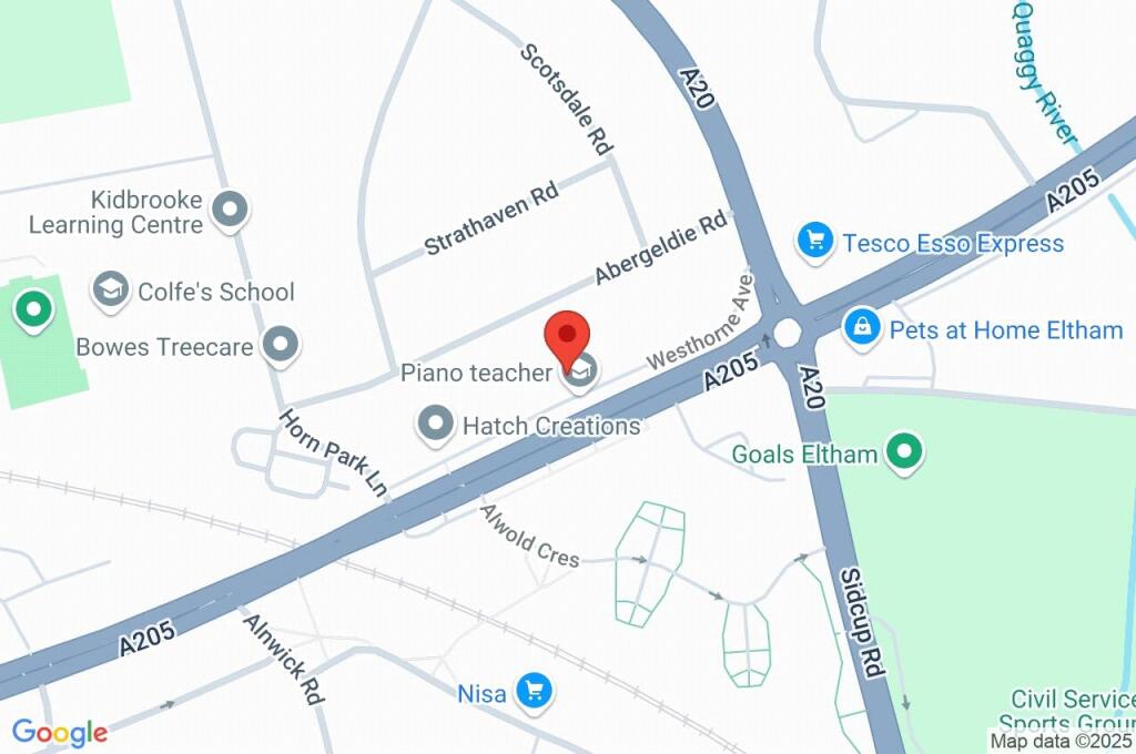 Google Maps Image