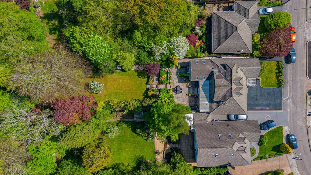 Cyncoed Rise 8 Drone-4.jpg