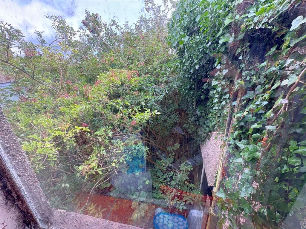 Rear garden (3).jpg