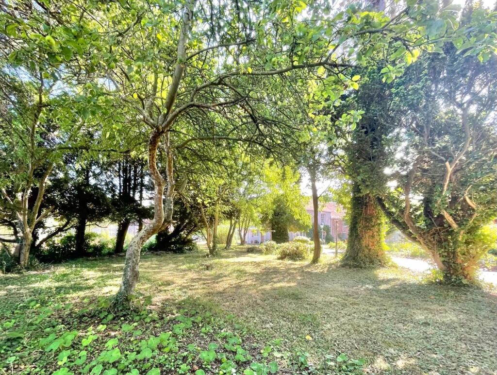 Woods and Front Garden
