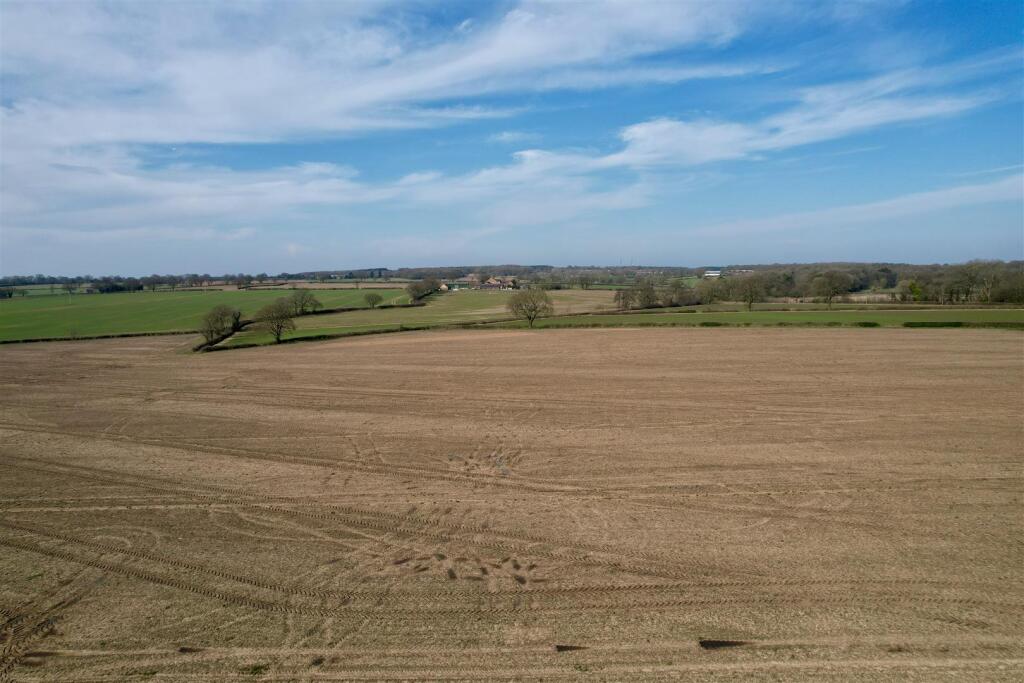 dji_fly_20250306_125428_598_1741265827520_photo.jp