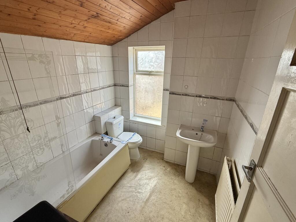 IMG 0195 T202503191837.jpeg