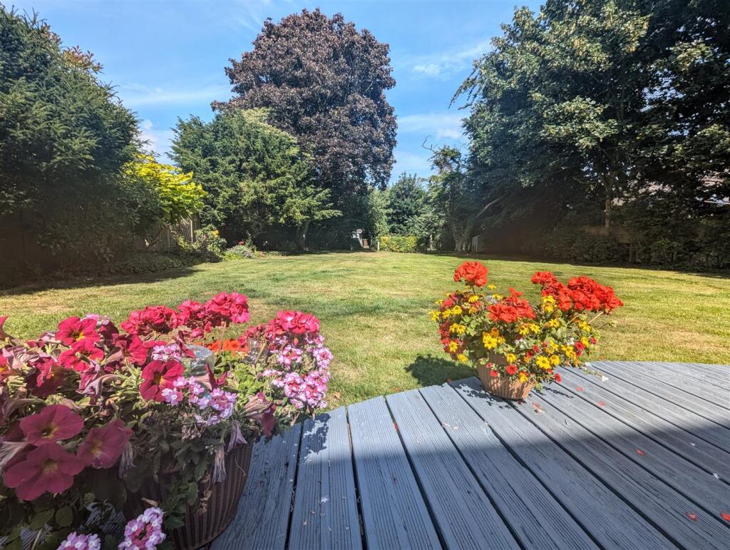 garden 1.jpg