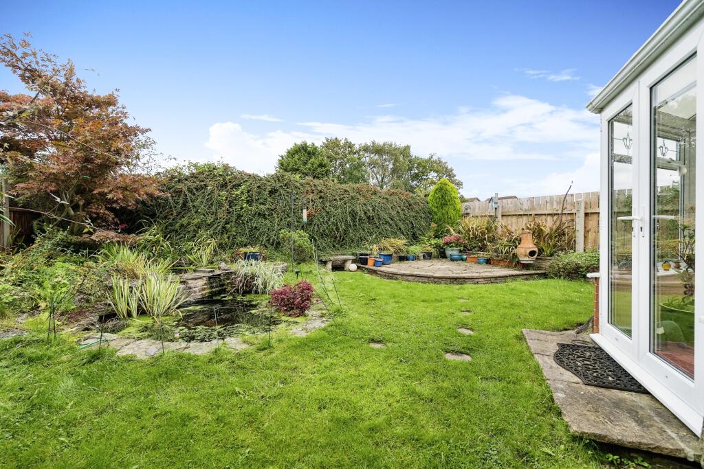 Back Garden