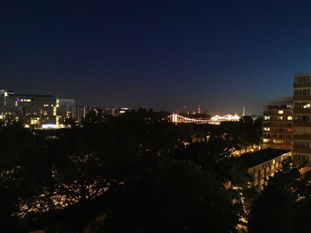 CHELSEA BRIDGE AT NIGHT FROM PROPERTY