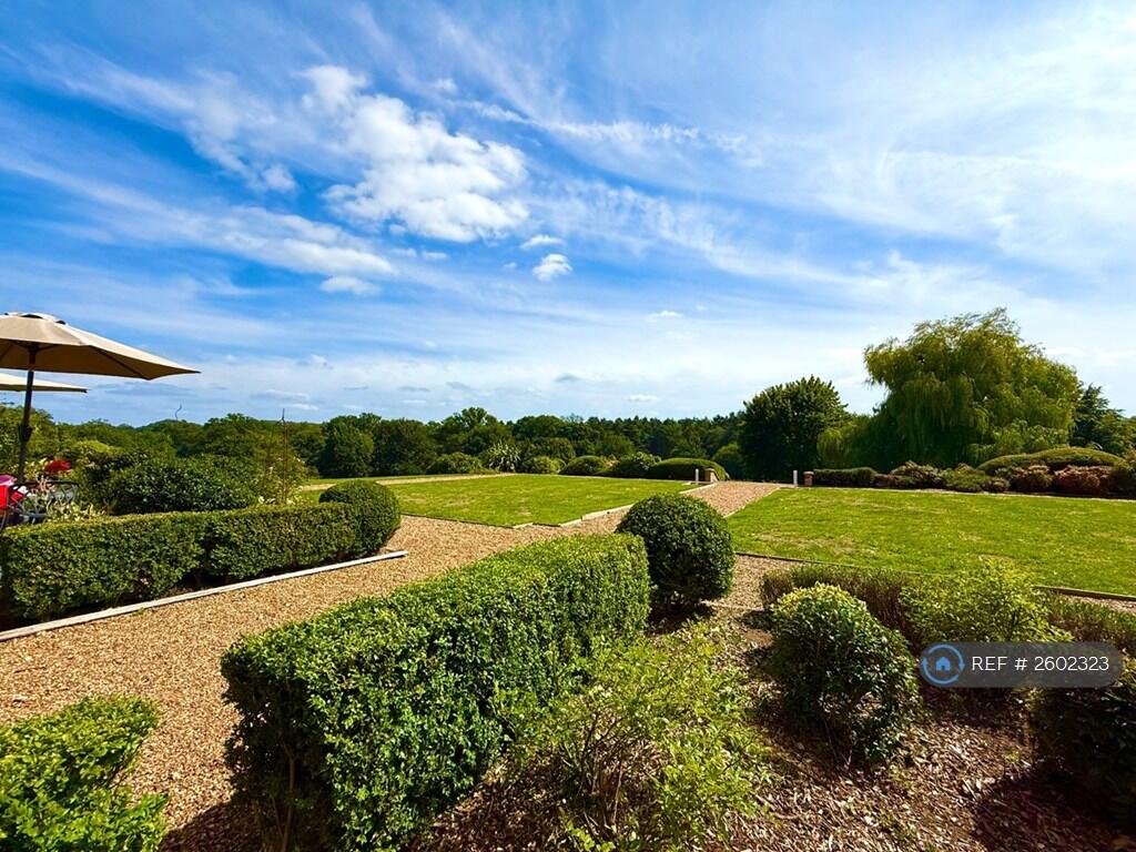 Southerly Views From Patio