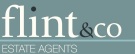 Flint & Company logo