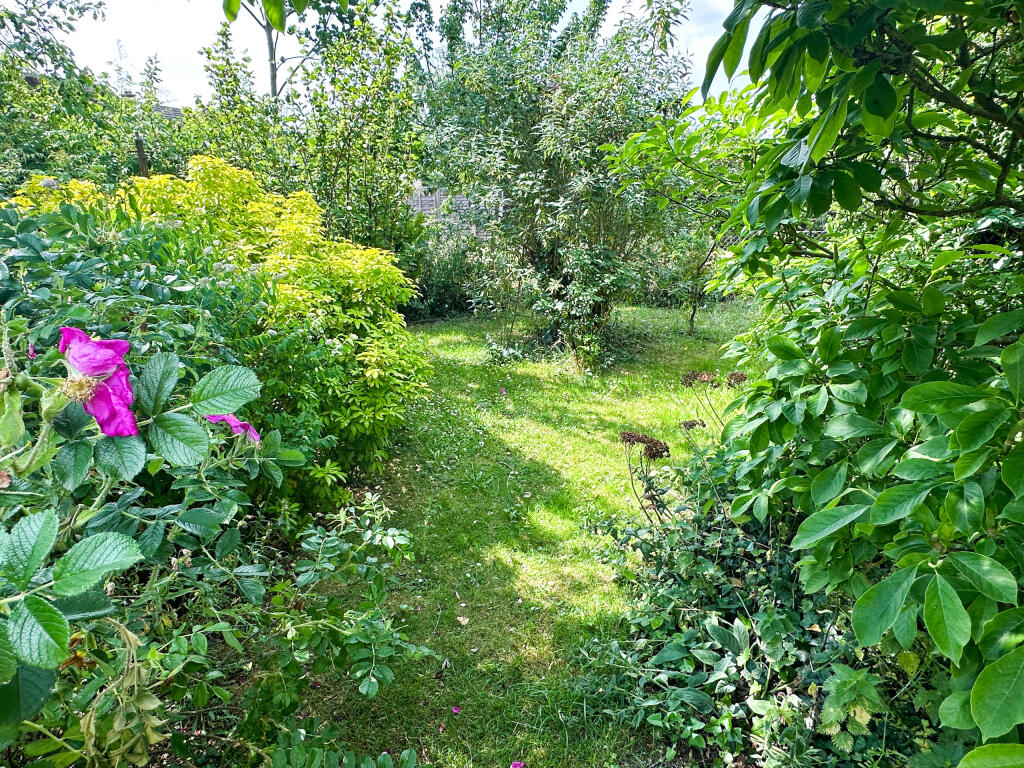 Garden 2_edited