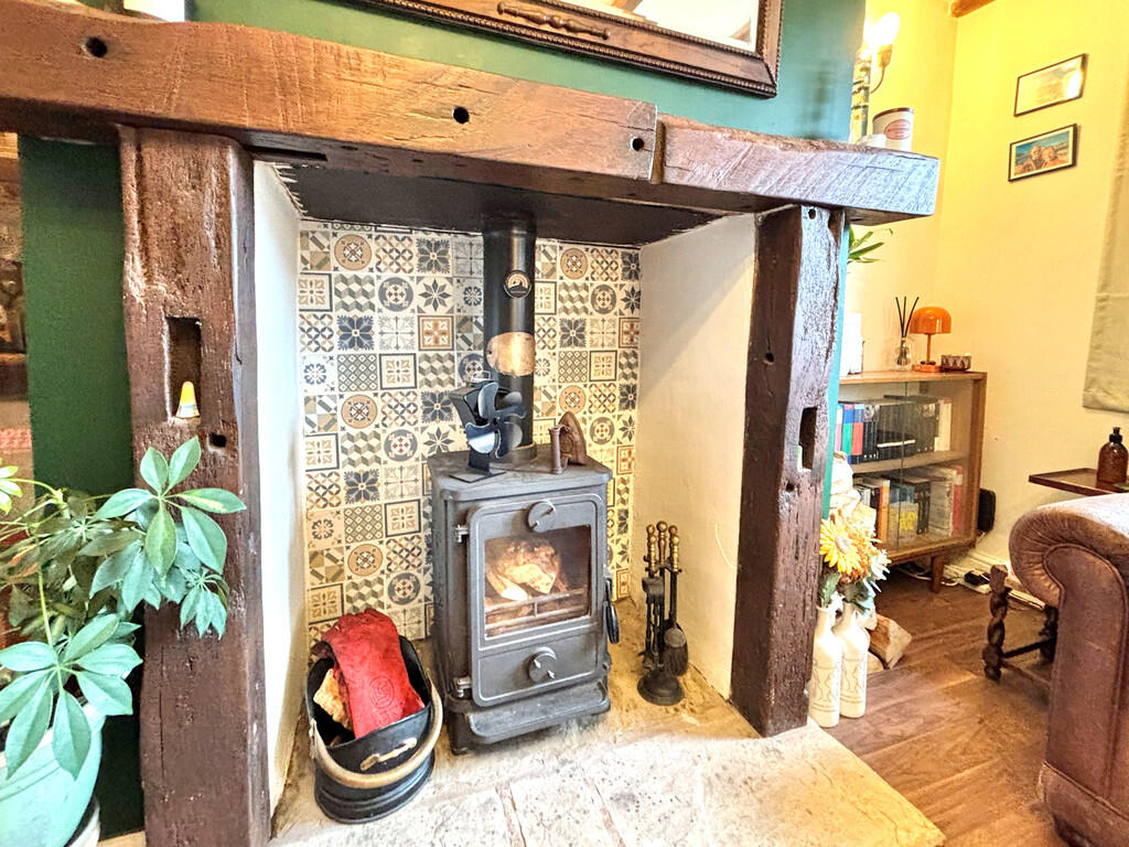 Log burning stove