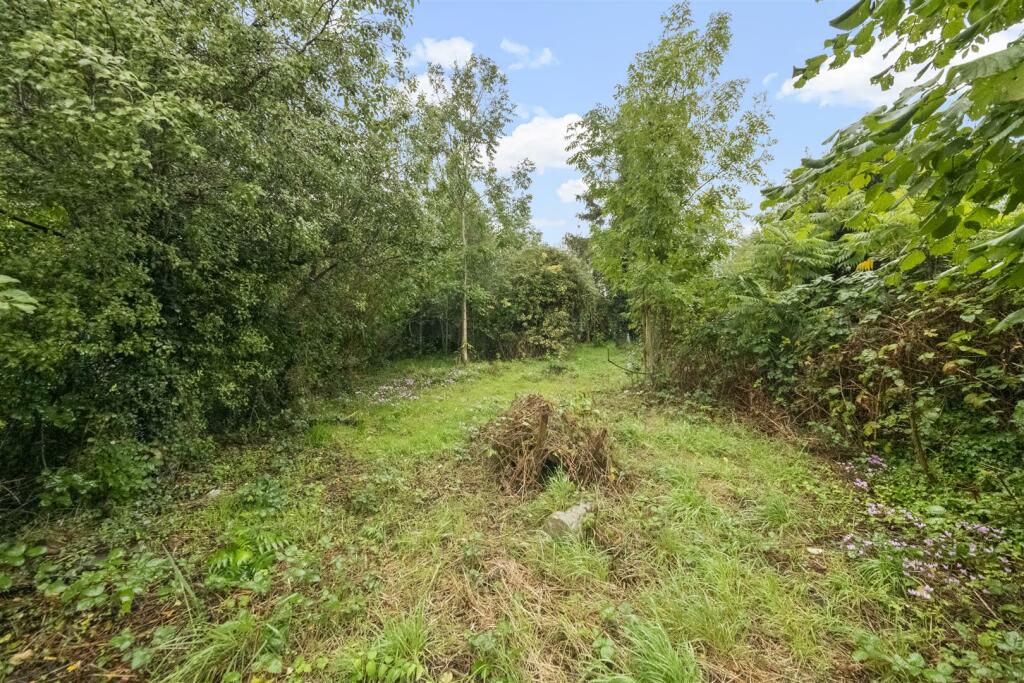 Garden.JPG