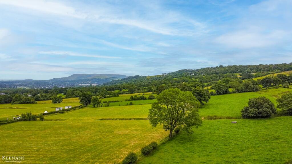 dji_fly_20240724_133906_32_1721824752289_photo_opt