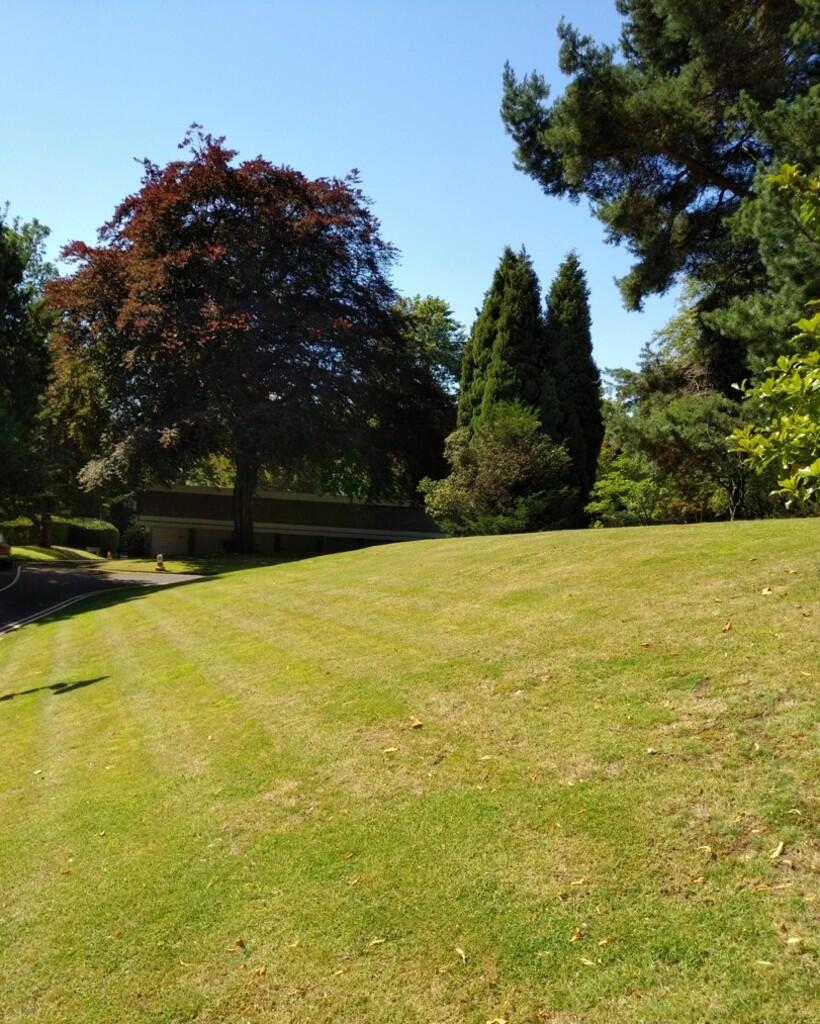 Grounds