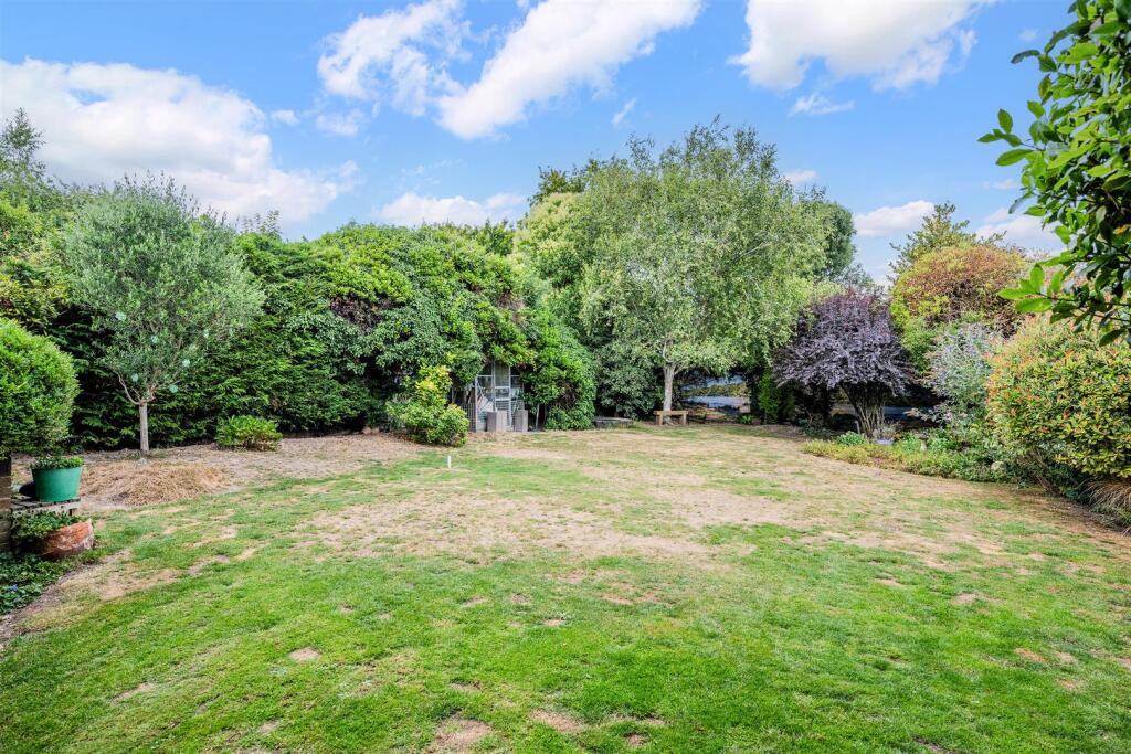 ROSE BUSHES, 63 (1).jpg