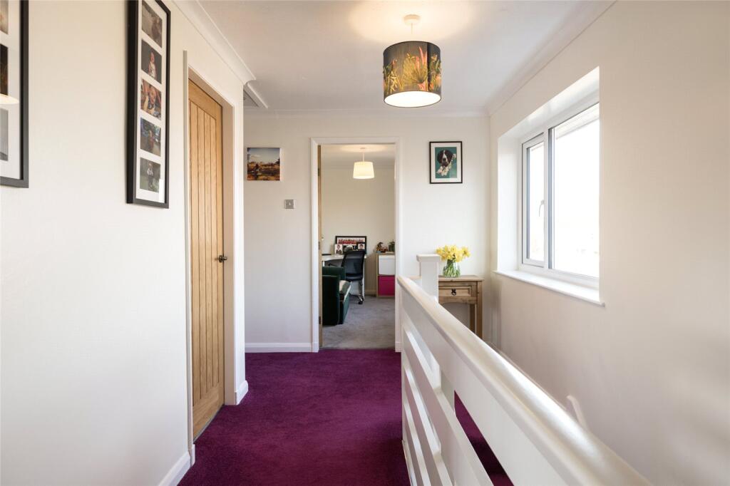 Photos