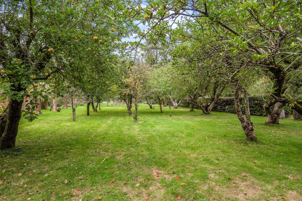 Fruit Orchard