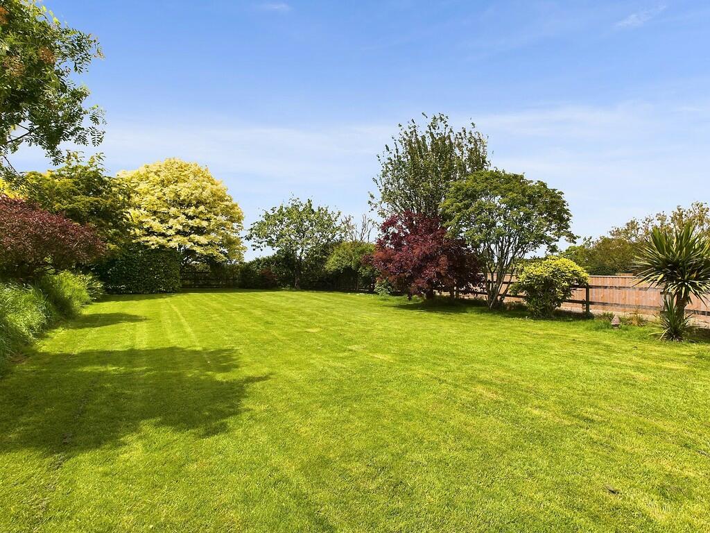 Garden 1