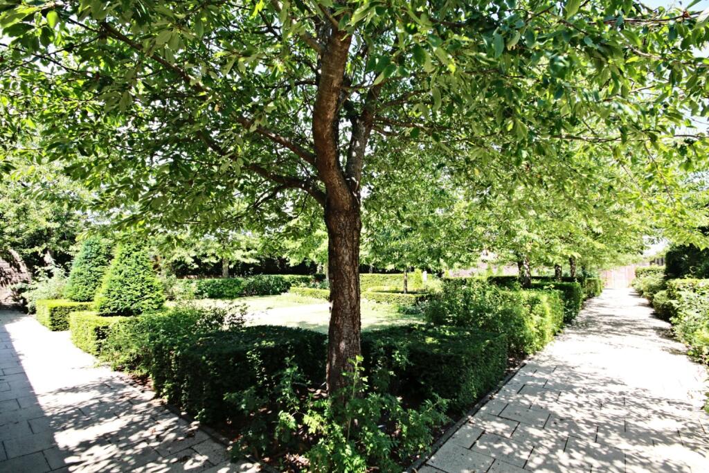 QMP - Rose Garden min