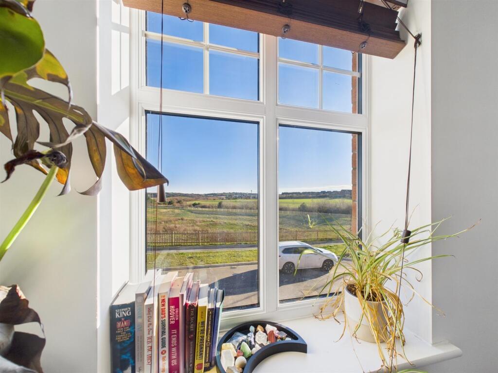 window 2.jpg